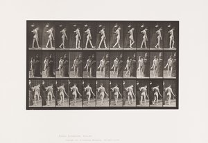 Plaka 541. Multipl Serebro-Spinal Skleroz (Koreik); Yürüme by Eadweard Muybridge