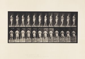 Plaka 542. Multipl Serebro-Spinal Skleroz - Yürüyüş by Eadweard Muybridge