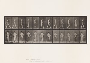 Plaka 546. Lokomotor Ataksi; Yürüyüş, 1885 by Eadweard Muybridge
