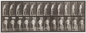 Plaka 547. Hemipleji; Koltuk değneğiyle yürümek, 1885 by Eadweard Muybridge