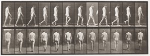 Plaka 549. Epilepsi; Yürüyüş, 1885 by Eadweard Muybridge