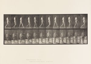 Plaka 551.Epilepsi; Yürüyüş, 1885 by Eadweard Muybridge