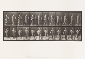 Plaka 552. Hemipleji; Bastonla Yürüyüş, 1885 by Eadweard Muybridge