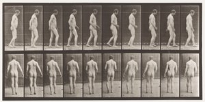 Plaka 553. Kafa Travmalarından Sonra; Yürüyüş, 1885 by Eadweard Muybridge