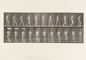 Plaka 554. Lokomotor Ataksi; Yürüyüş, 1885 by Eadweard Muybridge