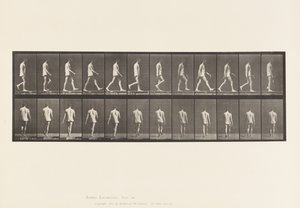 Plaka 560. Lokomotor Ataksi; Yürüyüş, 1885 by Eadweard Muybridge