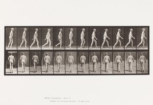 Plaka 562. Omurganın Yanal Eğriliği; Yürüme by Eadweard Muybridge
