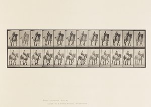 Plaka 578. Yürüyüş; Çıplak Sırt; Koyu Gri Belçika Atı Dusel by Eadweard Muybridge