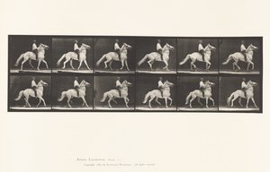 Plaka 589.Ambling by Eadweard Muybridge