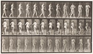 Plaka 58. Yürümek, Dönmek Yeri Süpürmek by Eadweard Muybridge