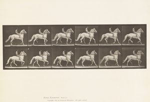 Plaka 590. Taşıma by Eadweard Muybridge