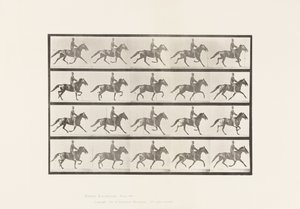 Plaka 591. Sallanan by Eadweard Muybridge