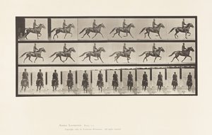 Plaka 592. Sallanma (Pacing): Eyer; Kahverengi At Pronto by Eadweard Muybridge
