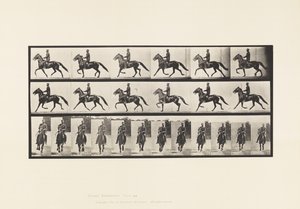 Plaka 593. Sallanma (Pacing): Eyer; Kahverengi At Pronto by Eadweard Muybridge