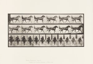 Plaka 594. Sallanma (Pacing): Somurtkan; Kahverengi At Pronto by Eadweard Muybridge