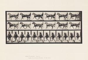 Plaka 595. Sallanma (Pacing): Somurtkan; Kahverengi At Pronto by Eadweard Muybridge