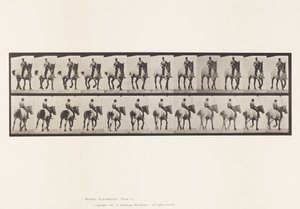 Plaka 600. Paça; Eyersiz; Koyu Gri Dusel by Eadweard Muybridge