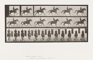 Plaka 601. Paça; Sele; kahverengi kısrak güzelliği by Eadweard Muybridge