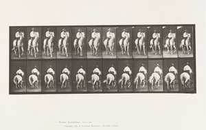 Plaka 604. Paça; Sele; Beyaz At, Elberon by Eadweard Muybridge