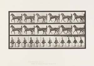 Plaka 612. Paça; somurtkan; Bay Horse, Dereumd by Eadweard Muybridge