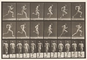 Plaka 62. Tam Hızda Koşmak., 1872-1885 by Eadweard Muybridge