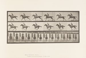 Plaka 631. Dörtnala; Sele; Safkan Bay Atı Buketi by Eadweard Muybridge