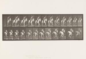 Plaka 635. Dörtnala; Sele; Gri Kısrak, Pandora by Eadweard Muybridge