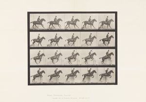 Plaka 636. Engel Atlamak; Sele; Sıçrayış için hazırlanıyor by Eadweard Muybridge