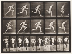 Plaka 63. Tam Hızda Koşu. by Eadweard Muybridge