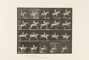 Plaka 642. Engel Atlamak; Sele; Binici, 105, Çıplak; Gri Kısrak, 1885 by Eadweard Muybridge