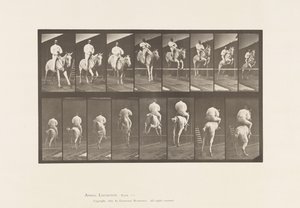 Plaka 644. Engel Atlamak; Sele; Takas ve İniş by Eadweard Muybridge