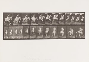 Plaka 647. Engel Atlamak; Eyersiz; Binici by Eadweard Muybridge