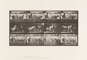 Plaka 651.A, Zil çalıyor; B, Teeter Kurulu; C, Askeri Tatbikat by Eadweard Muybridge