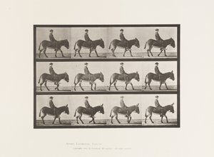 Plaka 665. Eşek; Yürüme; Eyersiz; Bir Çocuk Binme, Jennie by Eadweard Muybridge