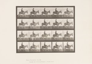 Plaka 666. Eşek; Yürüme; Sele; Bir Kız Binme, Hayvanat Bahçesi by Eadweard Muybridge