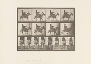 Plaka 668. Eşek; dolaşmak; Sele; Bir Çocuk Binme, Hayvanat Bahçesi by Eadweard Muybridge