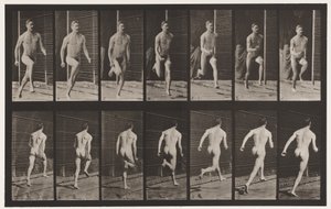 Plaka 66. Koşu by Eadweard Muybridge