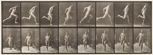 Plaka 67. Koşu, 1872-1885 by Eadweard Muybridge