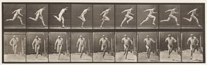 Plaka 68. Koşu, 1872-1885 by Eadweard Muybridge