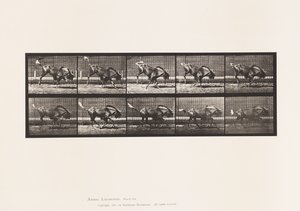 Plaka 702. Gnu; Bucking ve Dörtnala by Eadweard Muybridge
