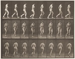 Plaka 70. Koşu., 1872-1885 by Eadweard Muybridge