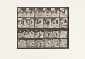 Plaka 711. Köpekler; İki Yarış; A, B; Yarış Tazıları, Ike ve Maggie by Eadweard Muybridge