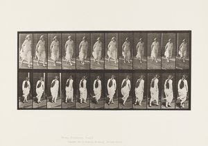 Plaka 71.Çalışıyor, 1885 by Eadweard Muybridge