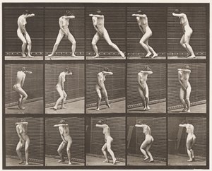 Plaka 73. Sürpriz İçinde Dönüp Kaçış, 1872-1885 by Eadweard Muybridge