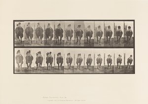 Levha 742. Baktriya Devesi; A, Raf; B, Dörtnala by Eadweard Muybridge