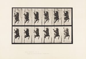 Plaka 749. Babun; Bir Direğe Tırmanmak by Eadweard Muybridge