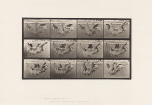 Plaka 750. Tembellik; Yürüyüş, Yatay Bir Direğe Asılmış by Eadweard Muybridge
