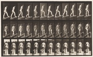 Plaka 76. Artan Eğim by Eadweard Muybridge