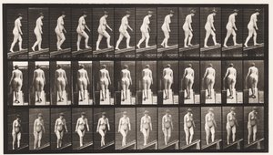 Plaka 77. Artan Eğim by Eadweard Muybridge