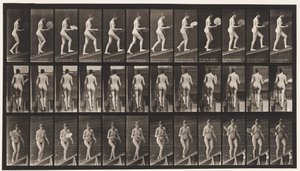 Plaka 78. Yükselen Eğim, Bir Yelpazeyle Flört Etmek, 1872-1885 by Eadweard Muybridge